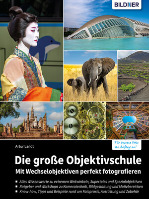 cover image of Die große Objektivschule